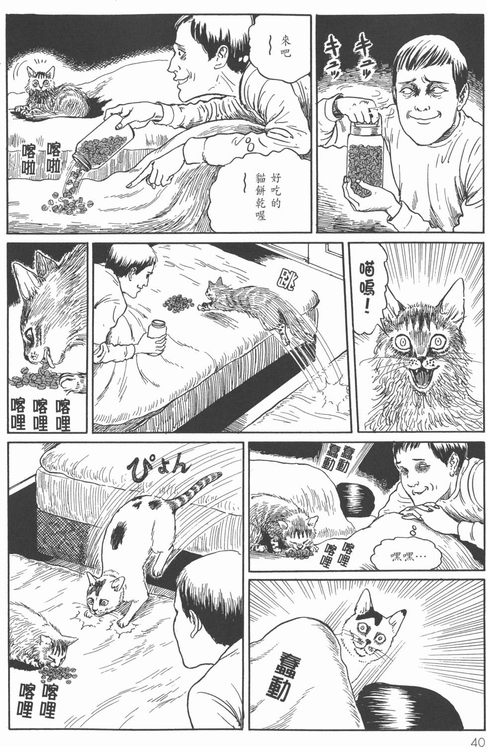 第40页