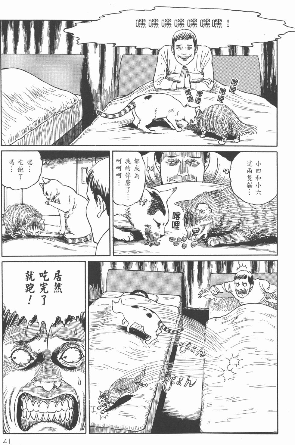 第41页