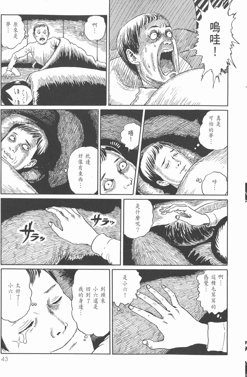 第43页