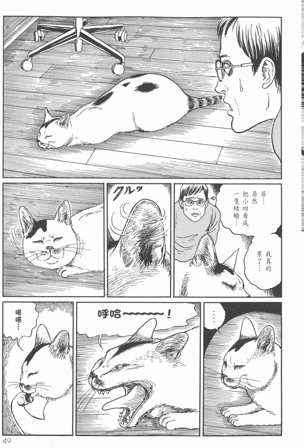 第49页