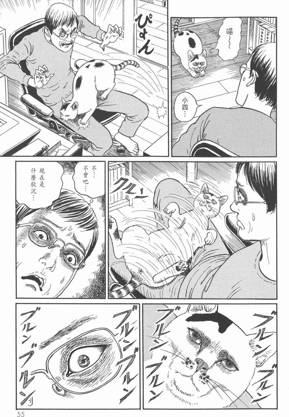 第55页