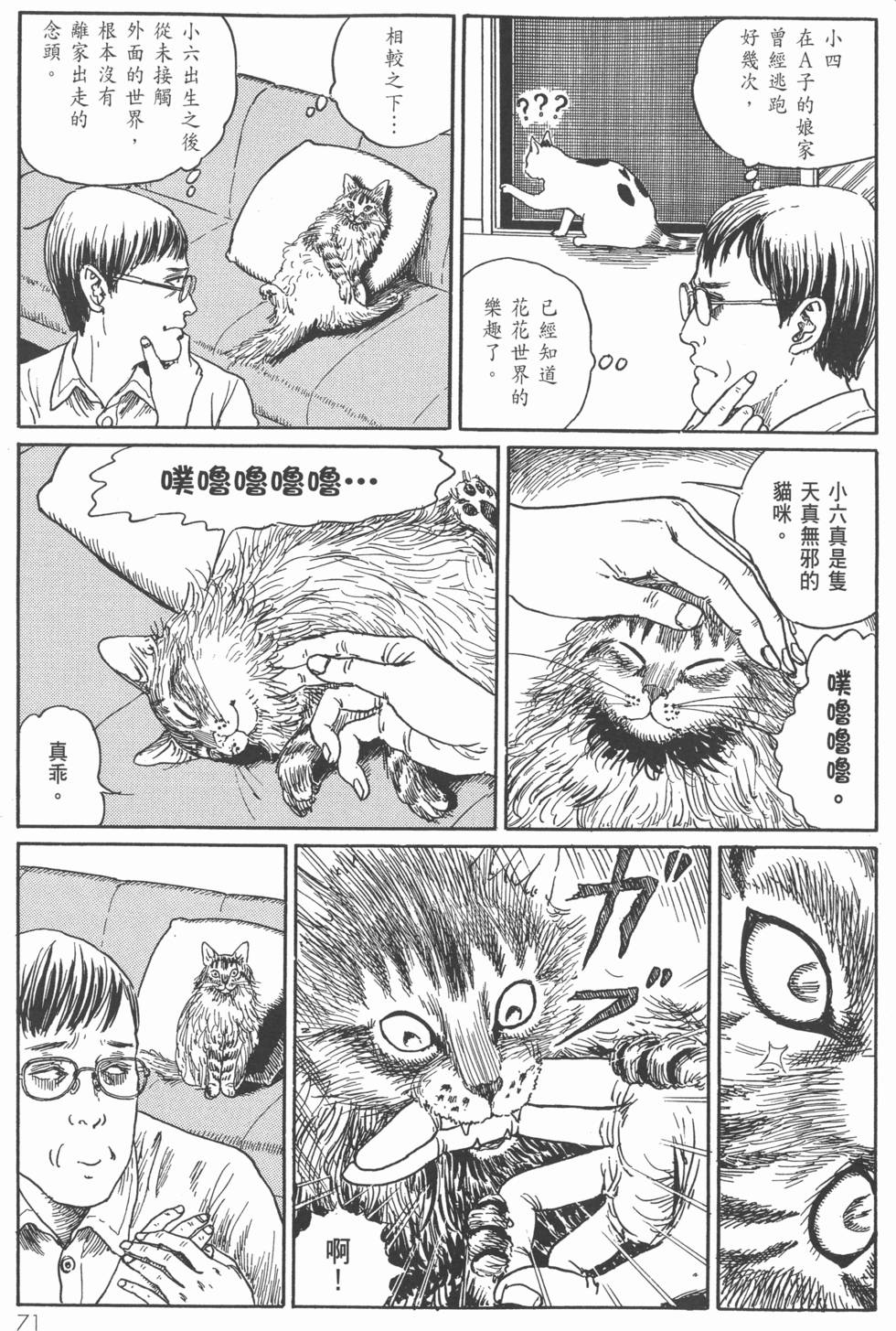 第71页