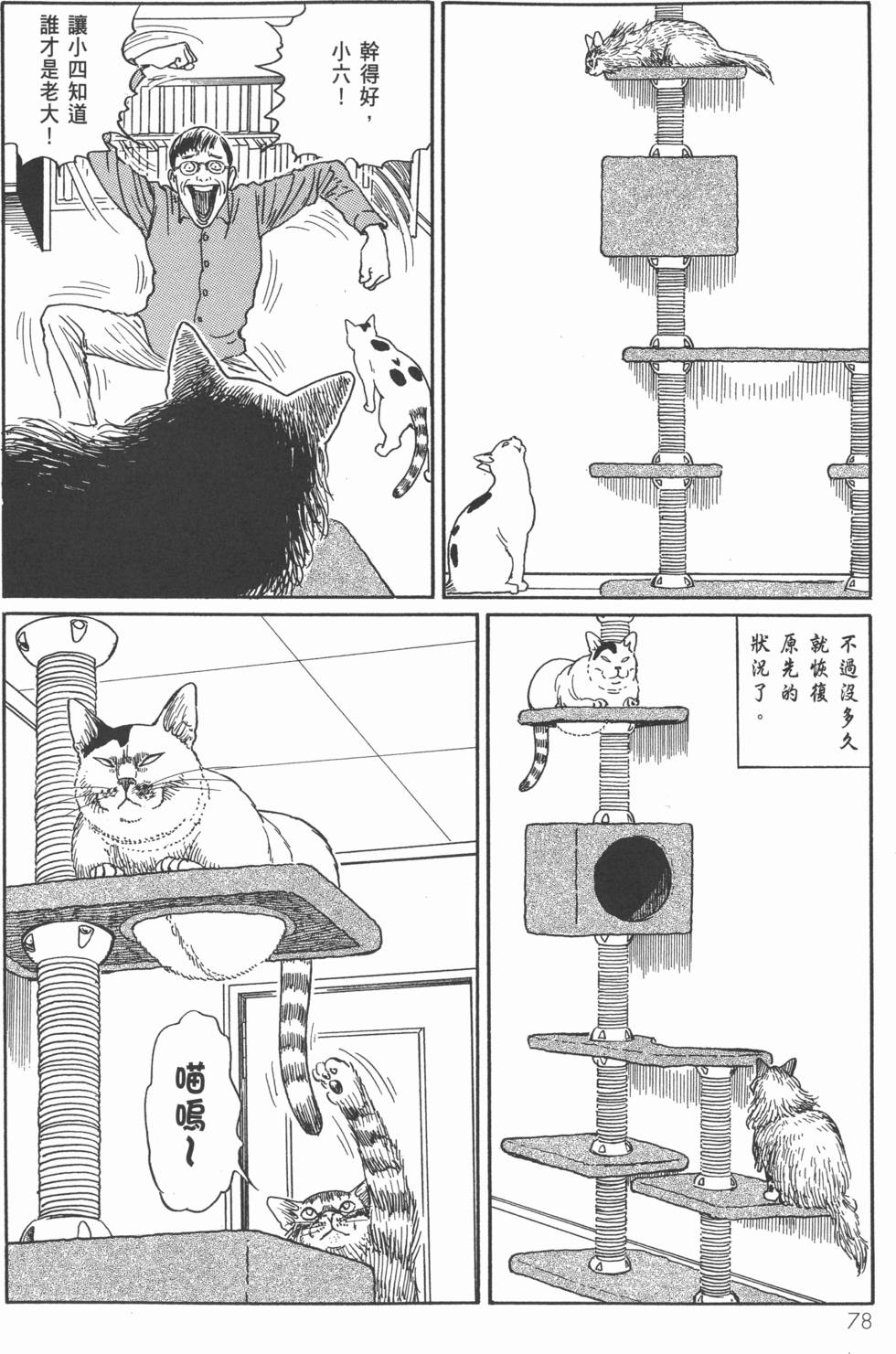 第78页