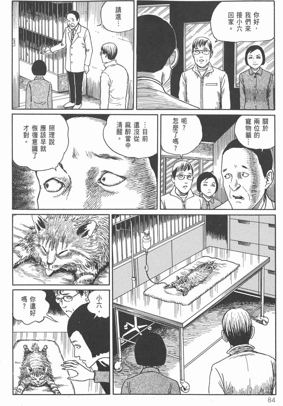 第84页