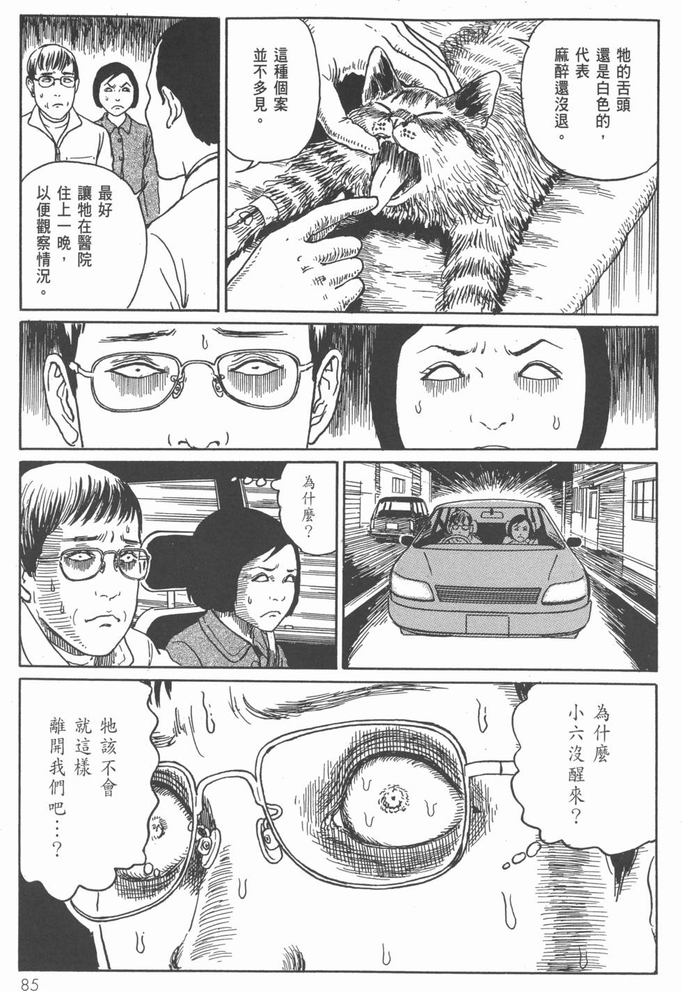 第85页