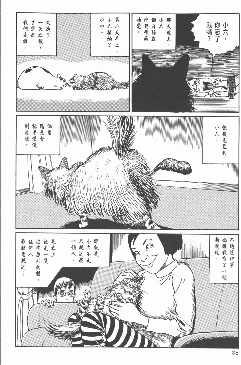 第88页