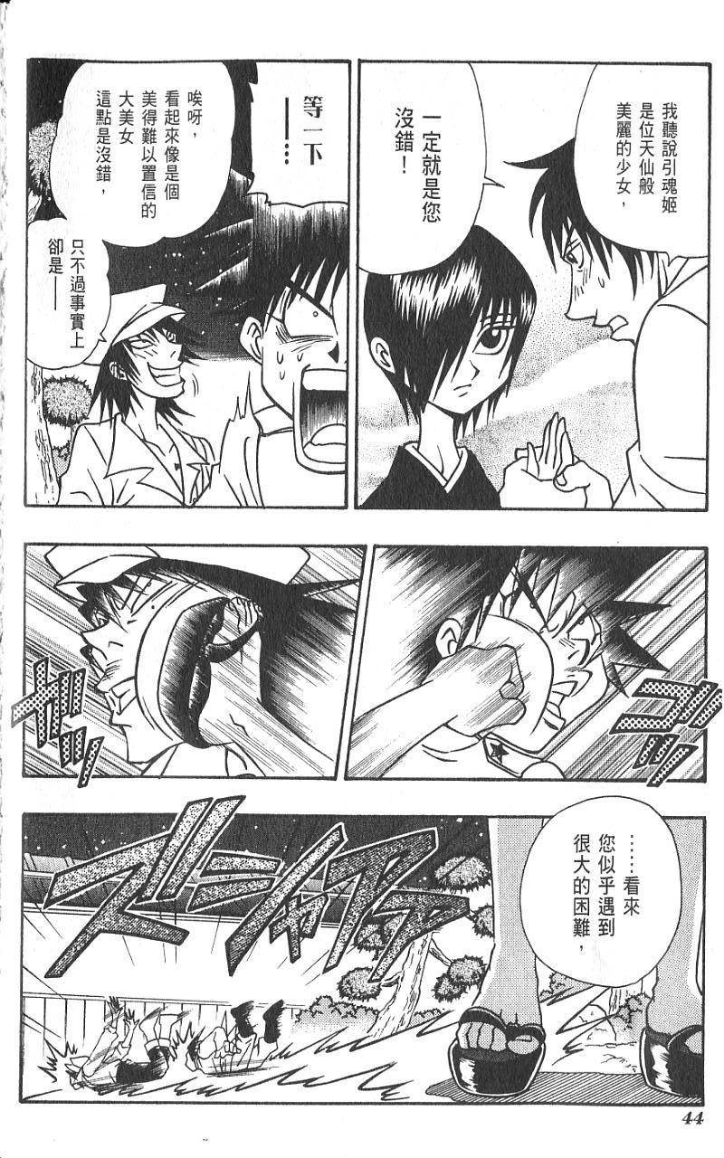 第43页