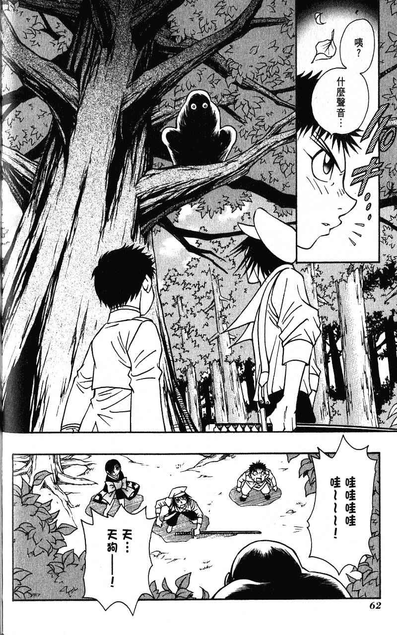 第61页
