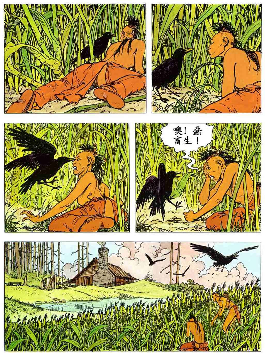 第51页