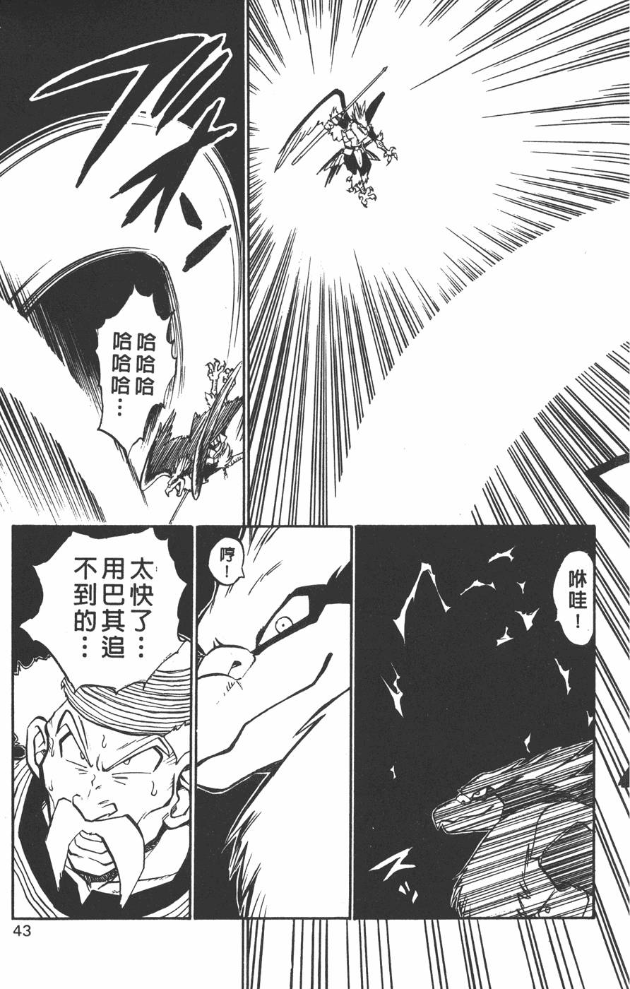 第41页