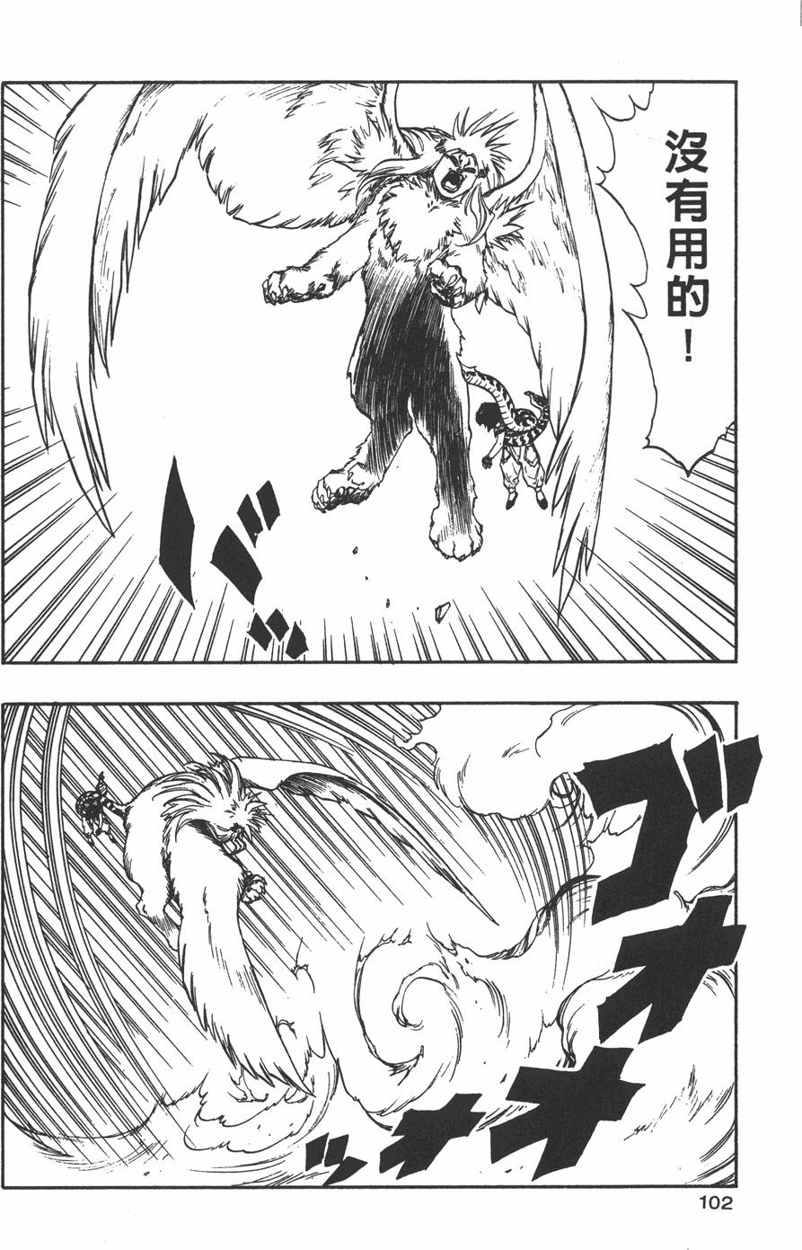 第100页