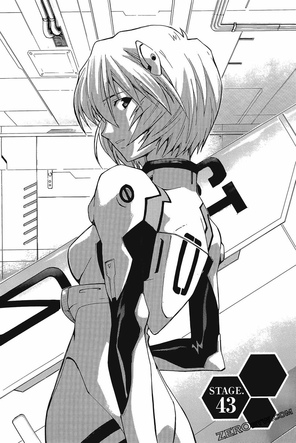 第117页