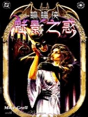 蝙蝠侠 魅影之惑