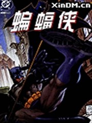 蝙蝠侠 寂静之战