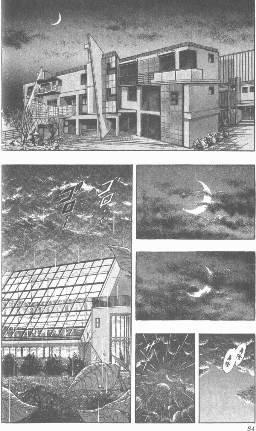 第81页