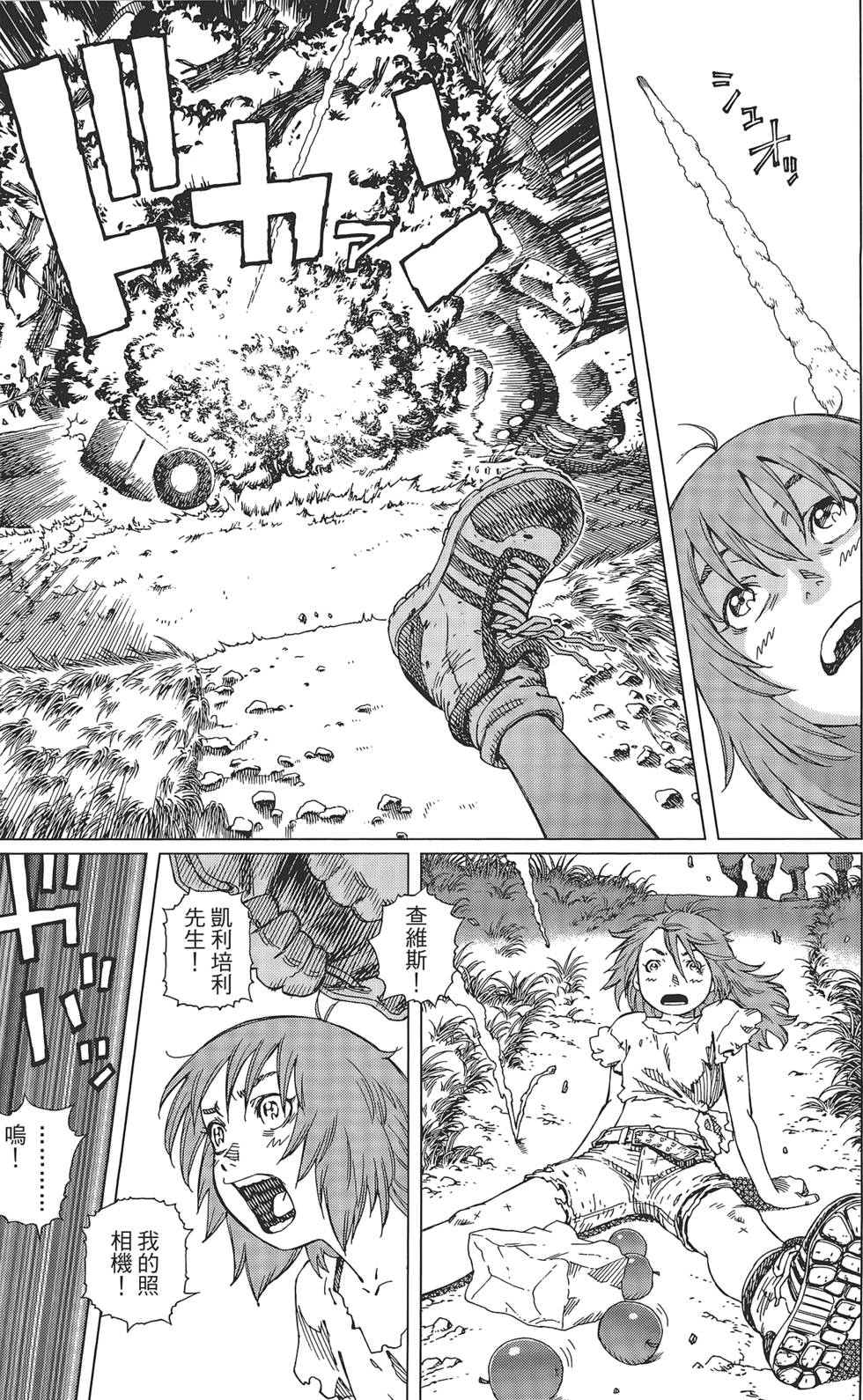 第231页