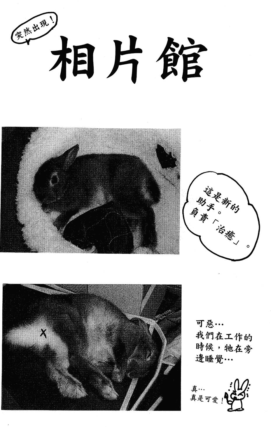 第185页