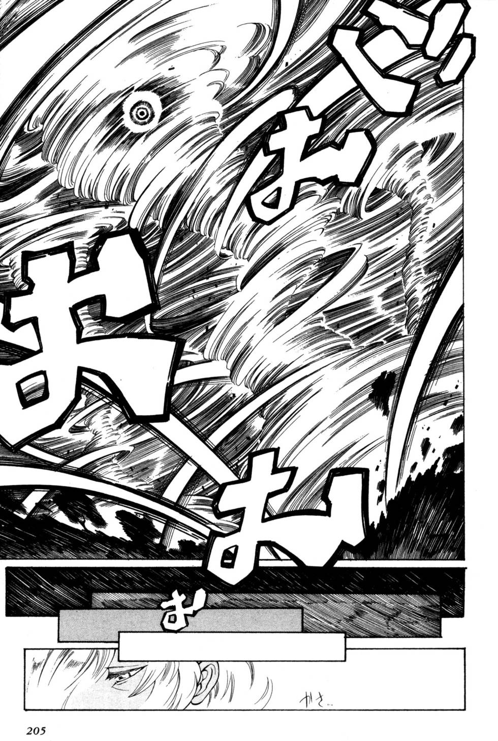 第204页