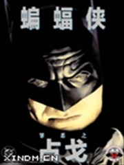 蝙蝠侠：罪恶之战