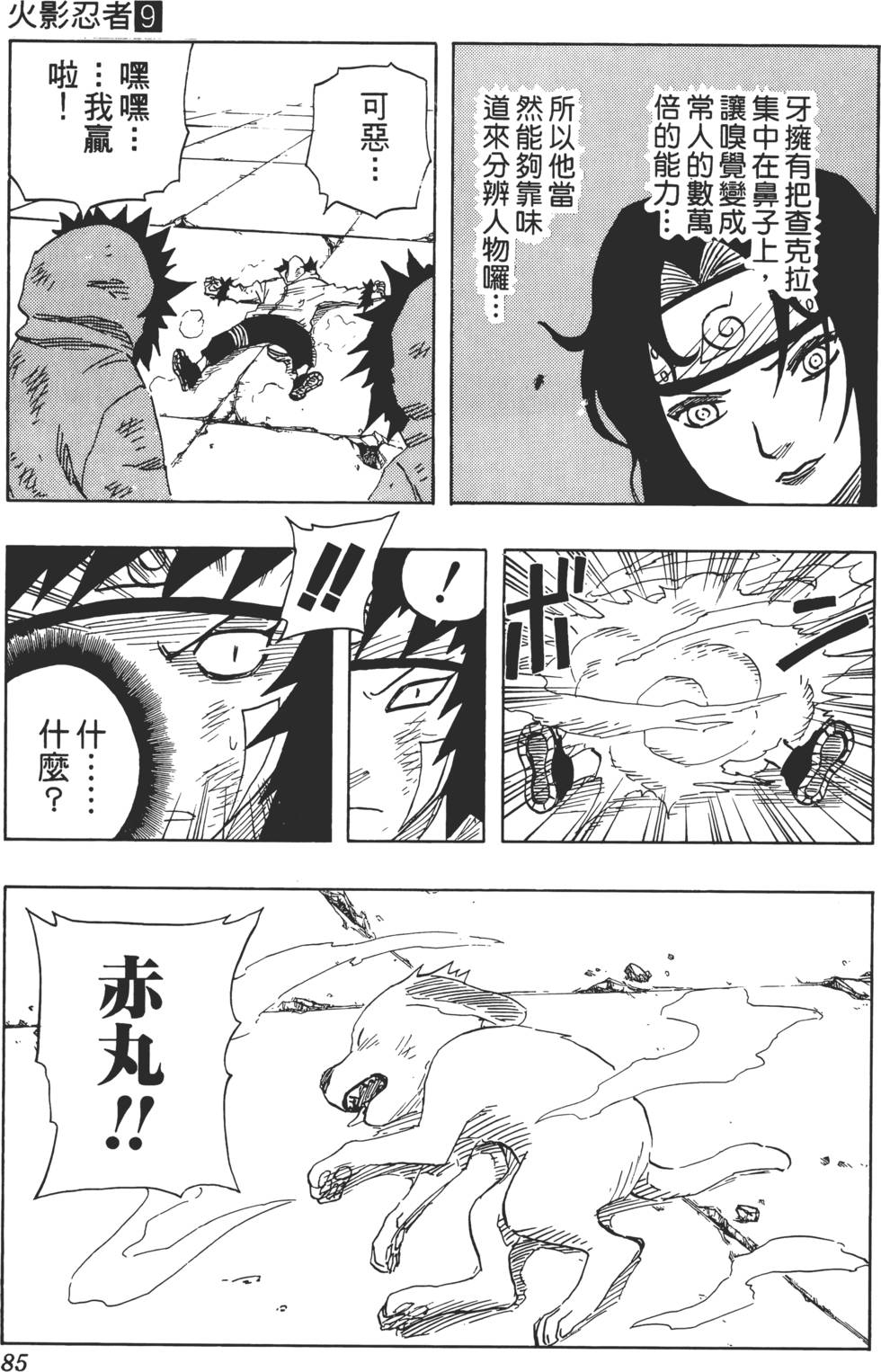 第81页