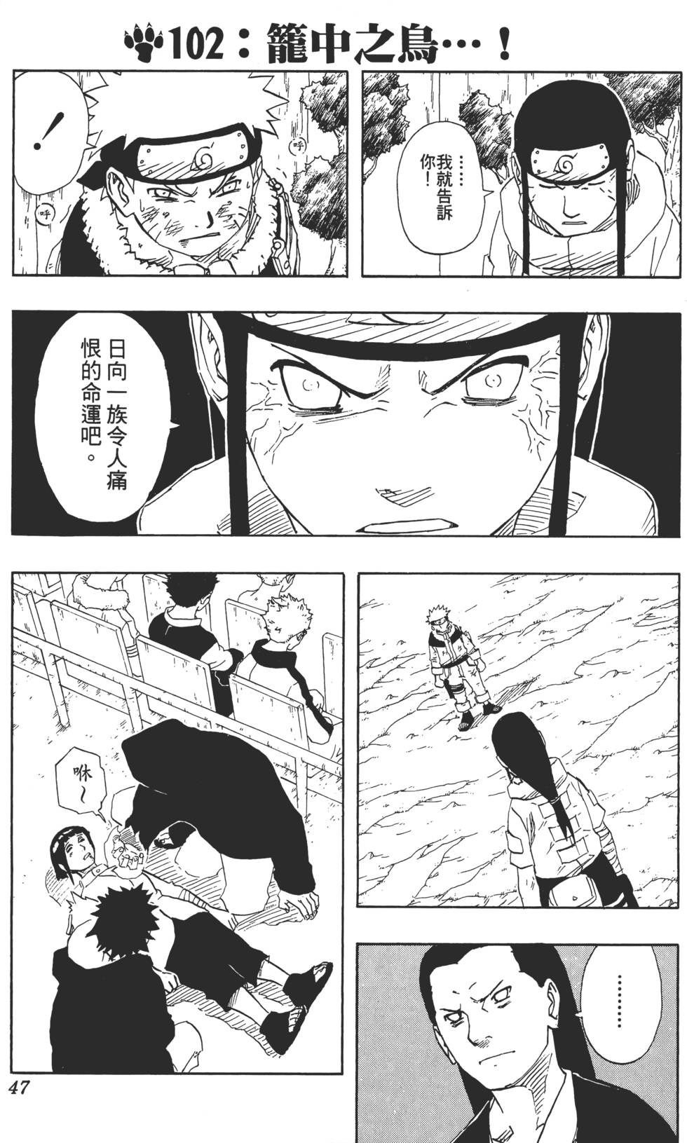 第43页