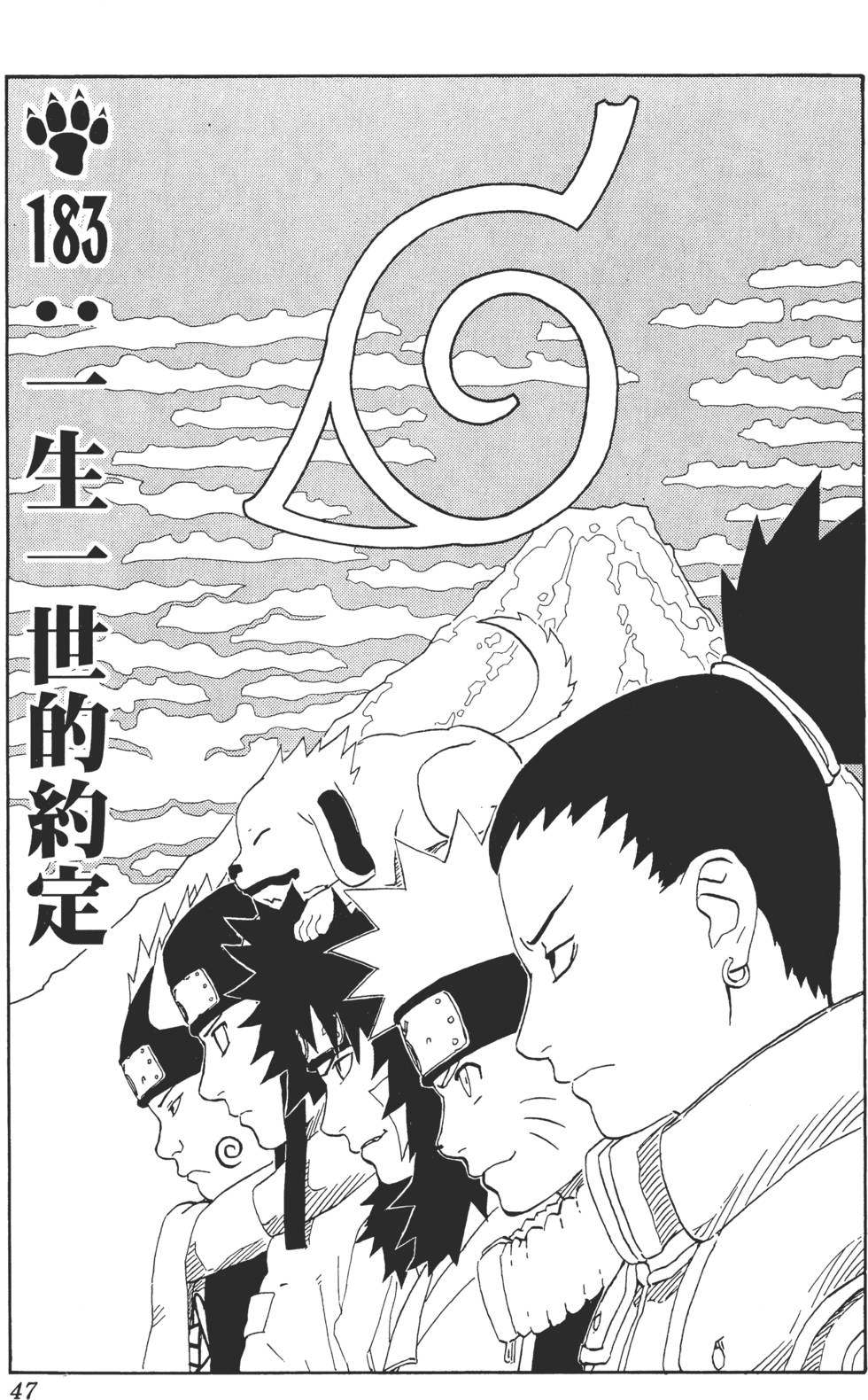 第43页