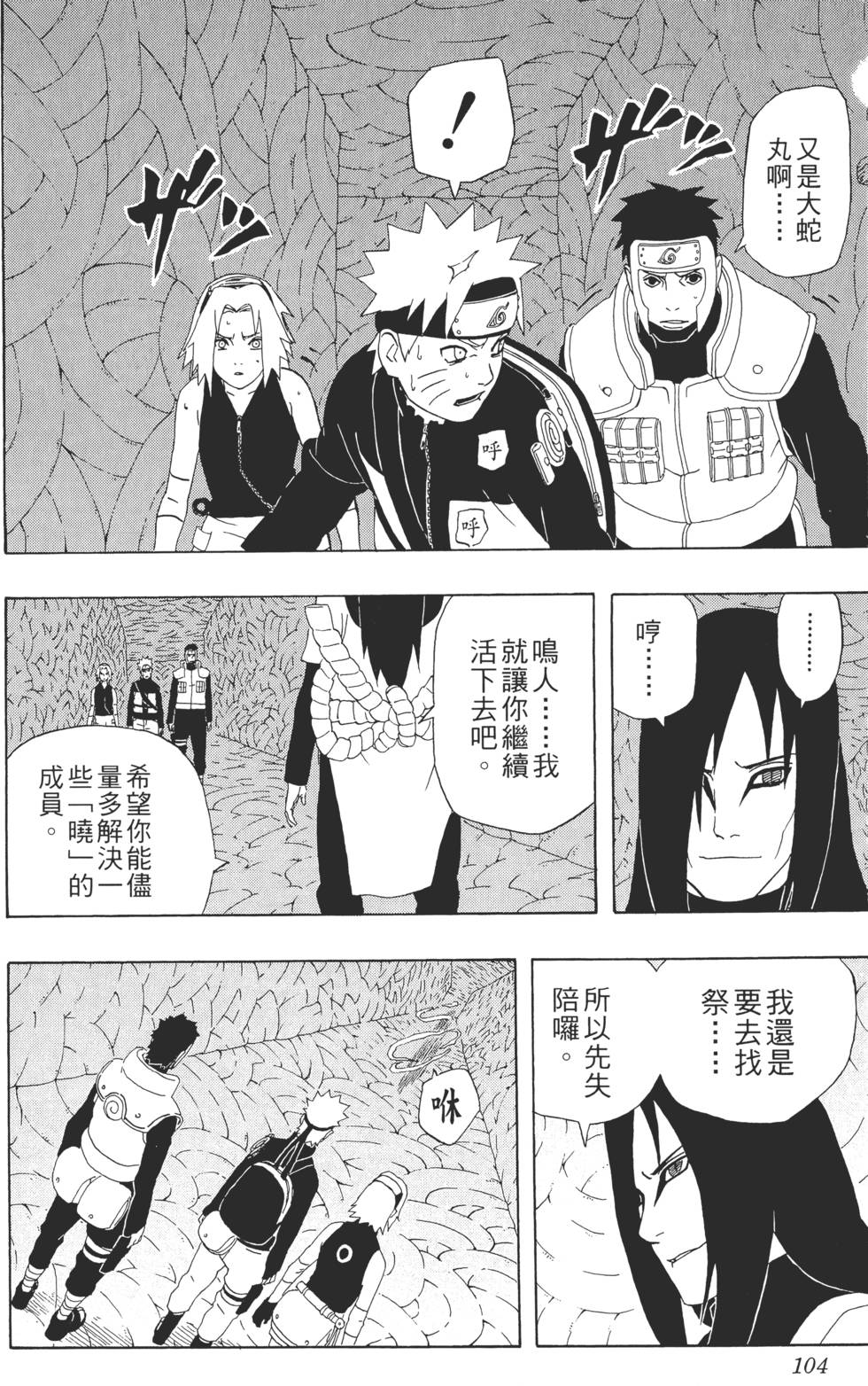 第100页