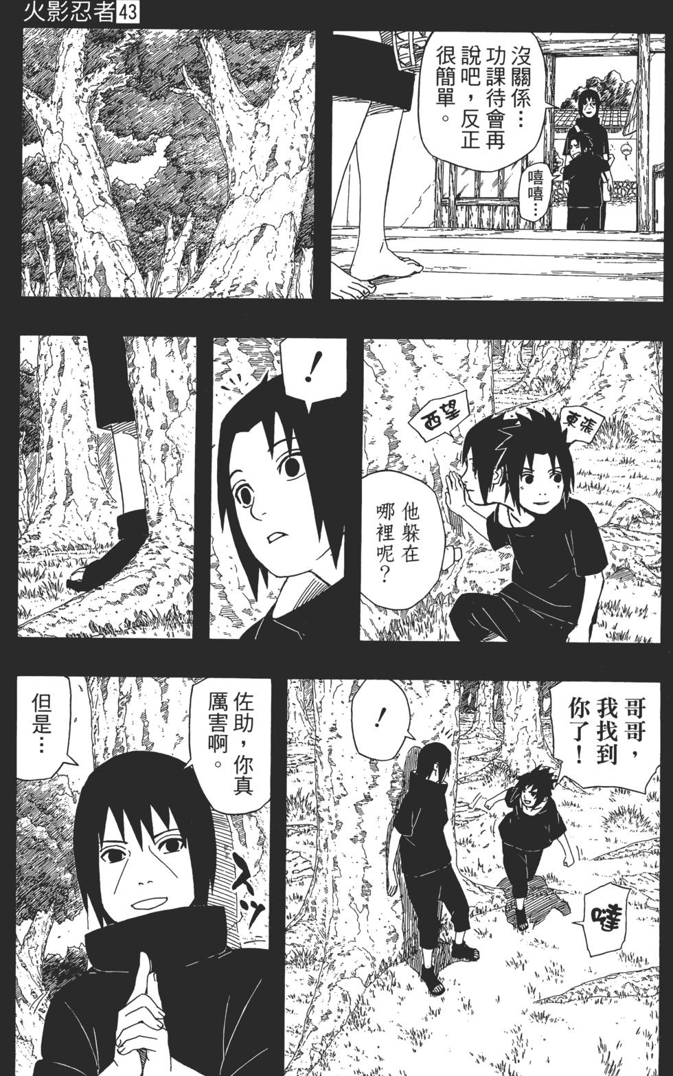 第223页