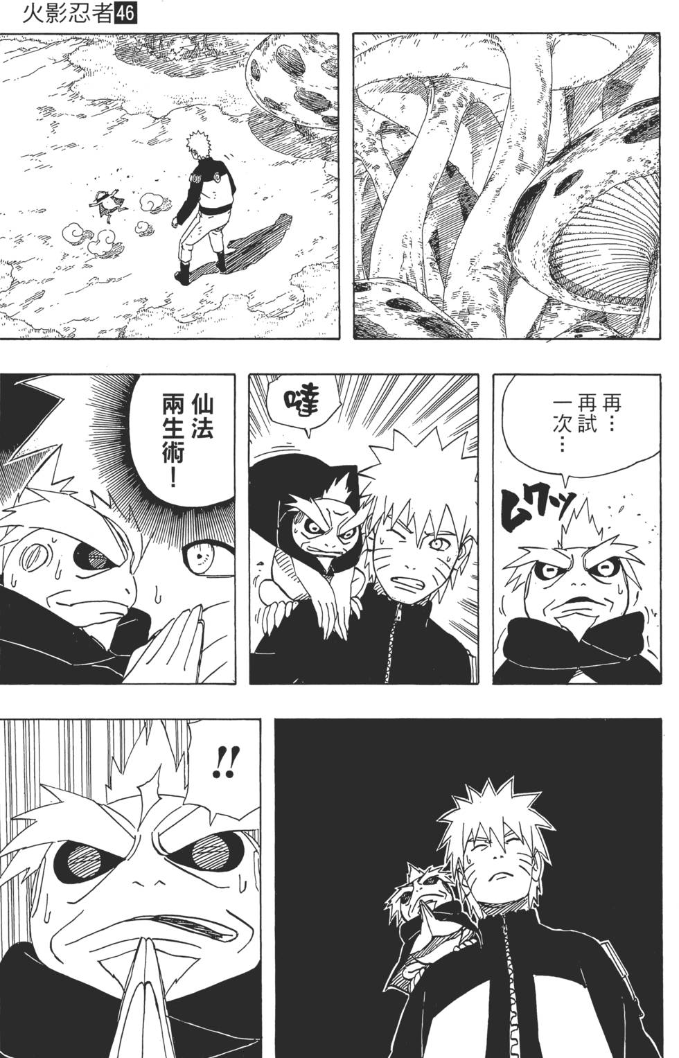 第43页