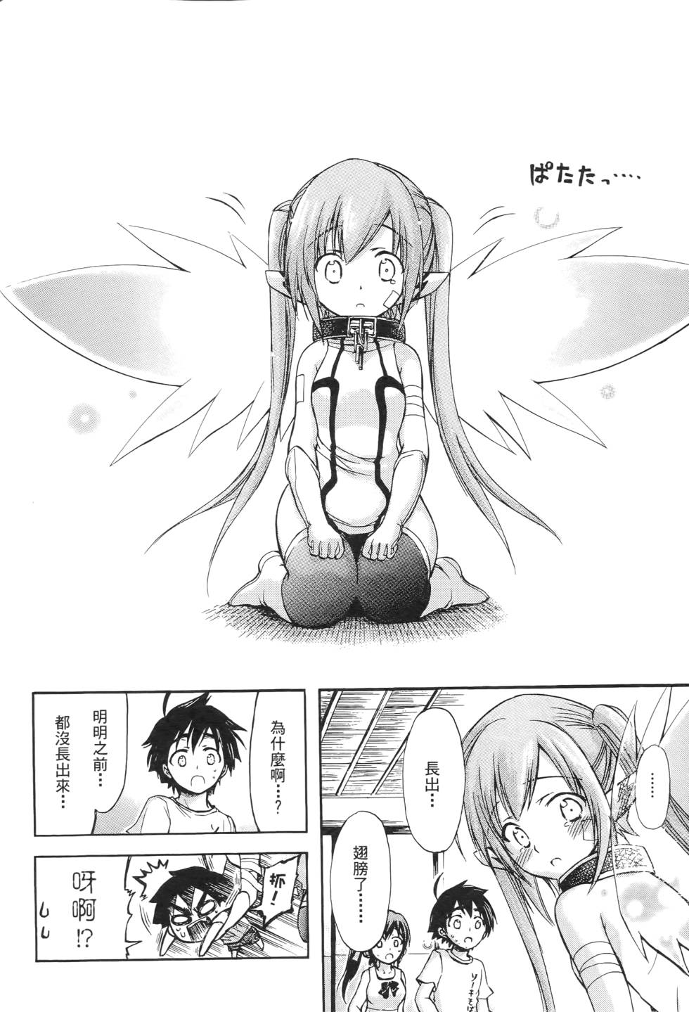 第40页