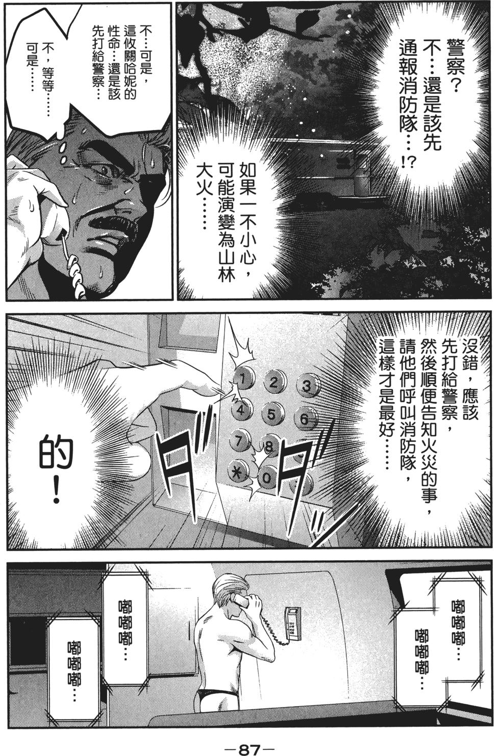 第86页