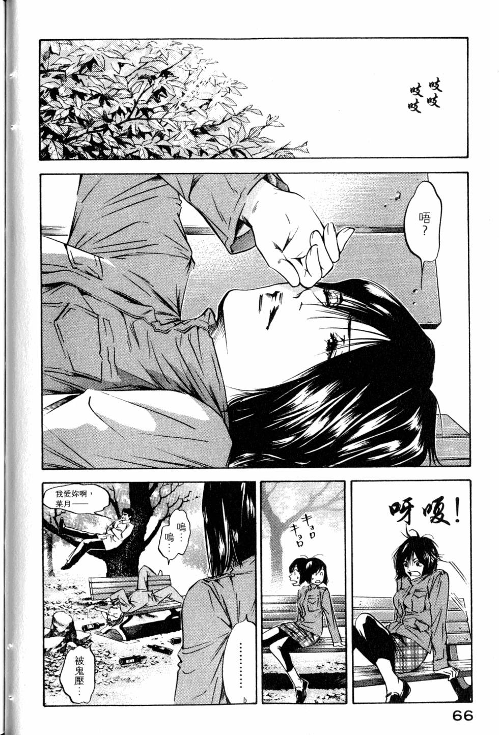 第66页