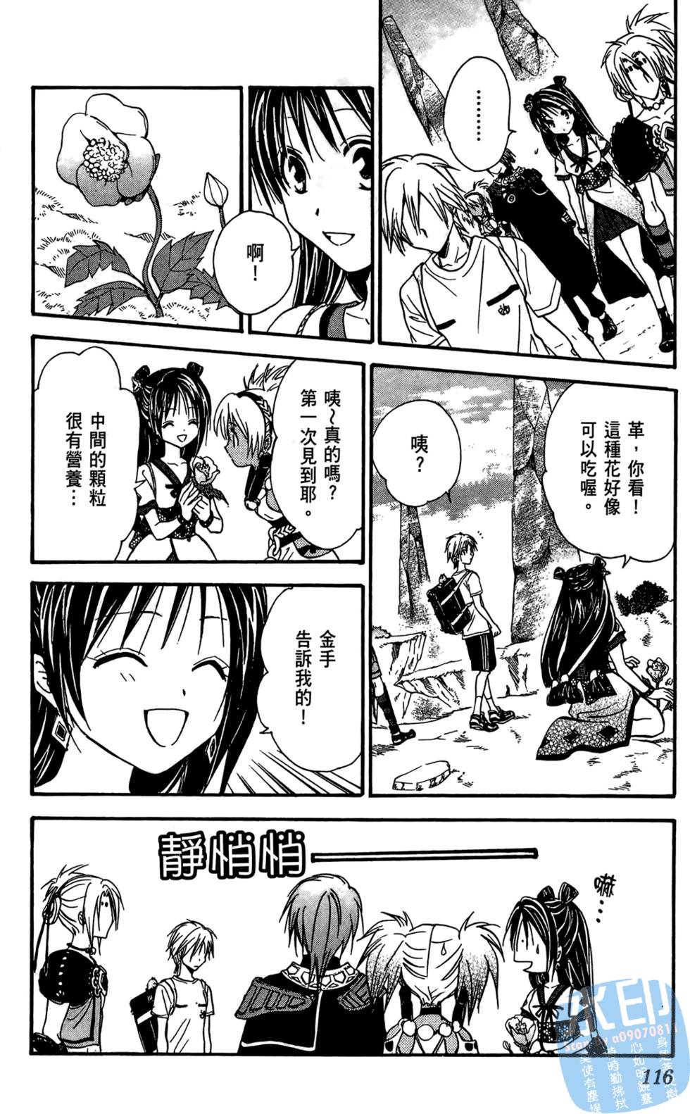 第113页