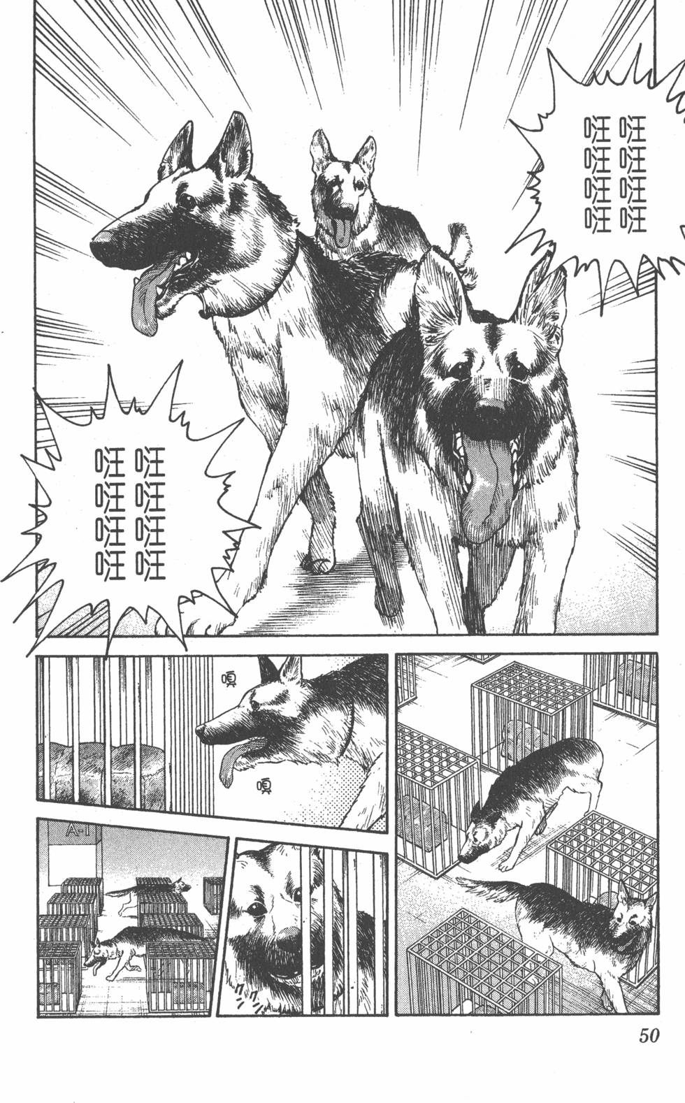 第48页