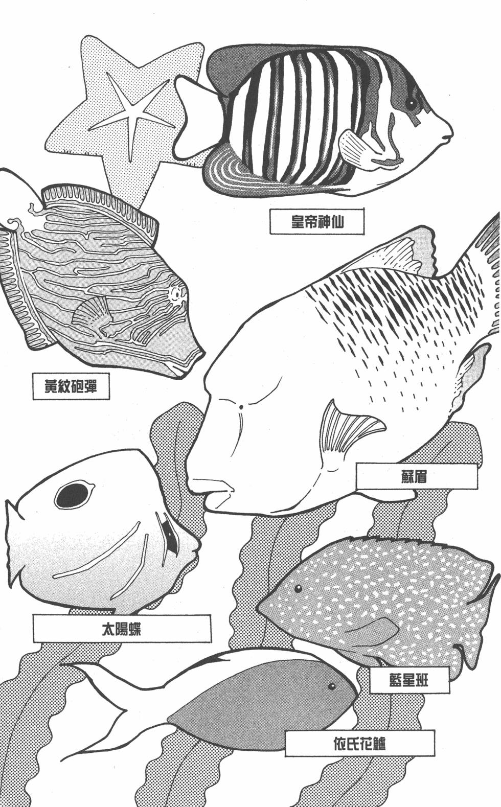 第183页