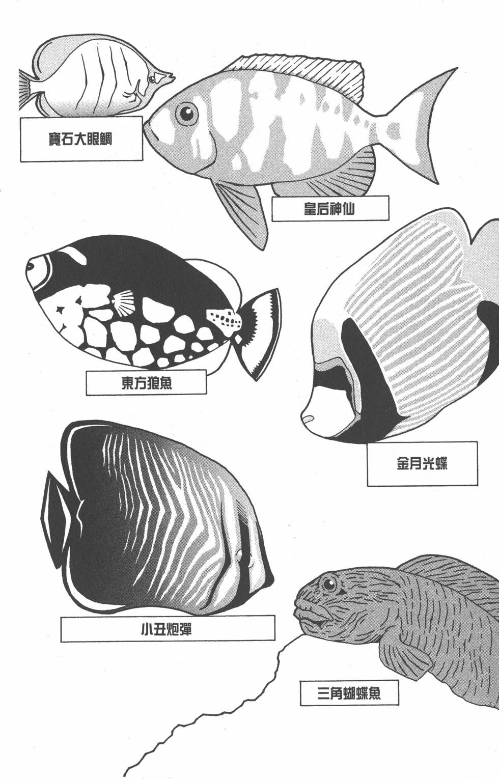 第184页