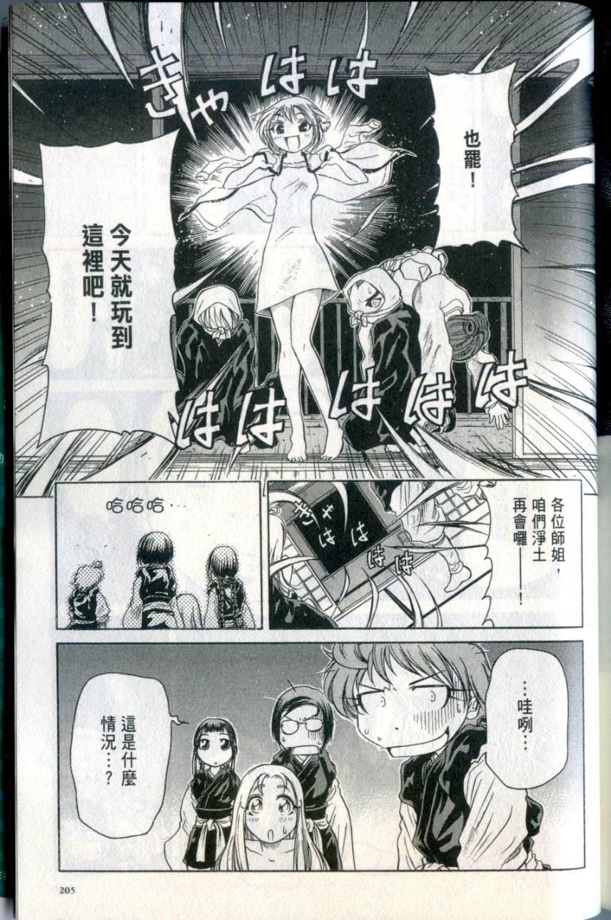 第204页
