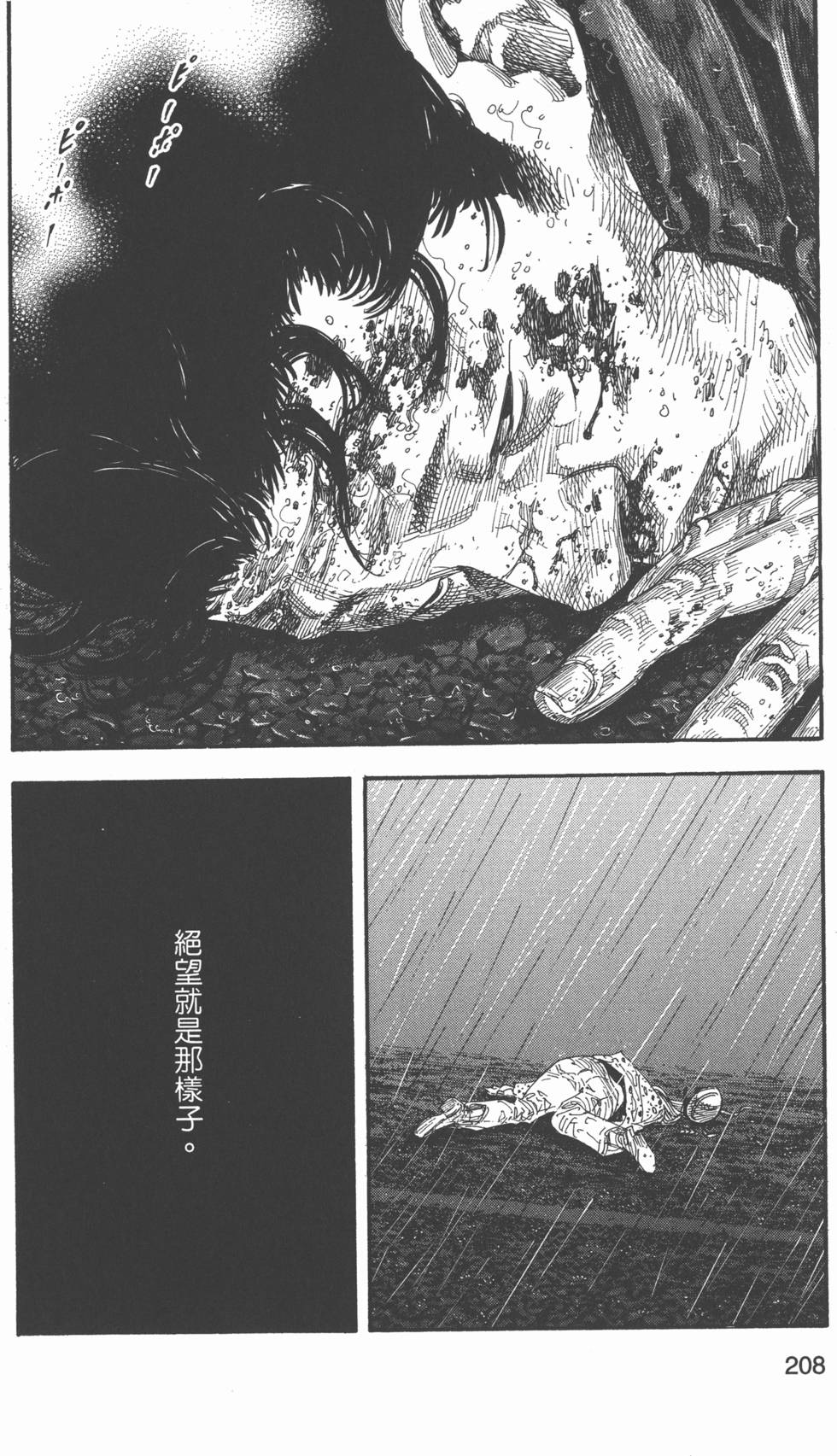 第209页