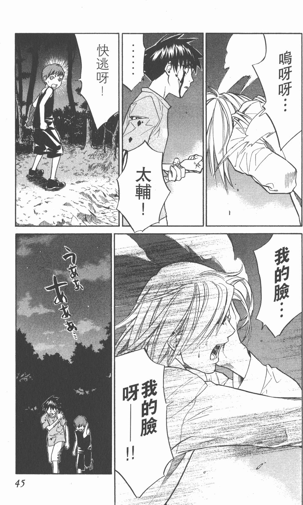 第45页