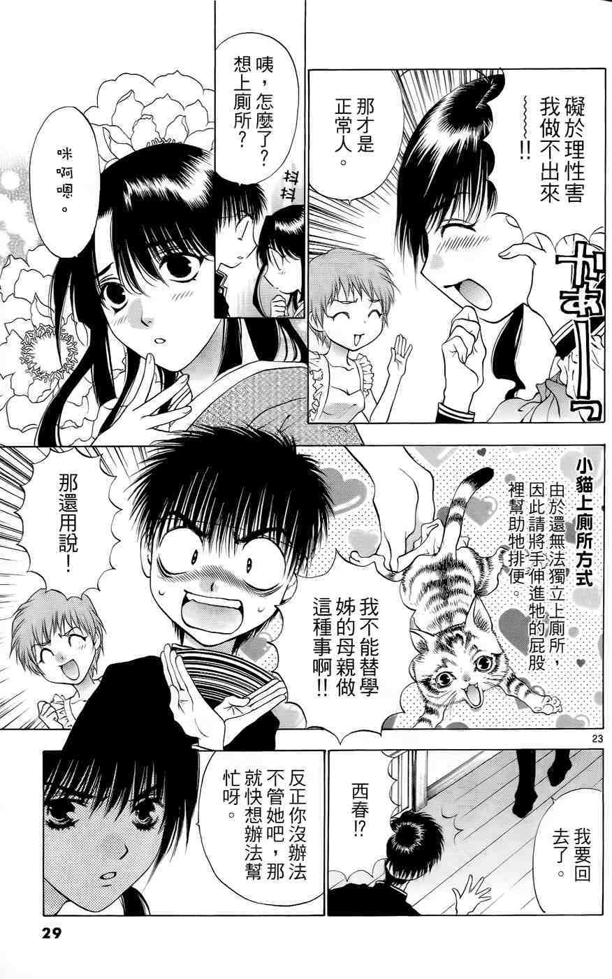 第25页
