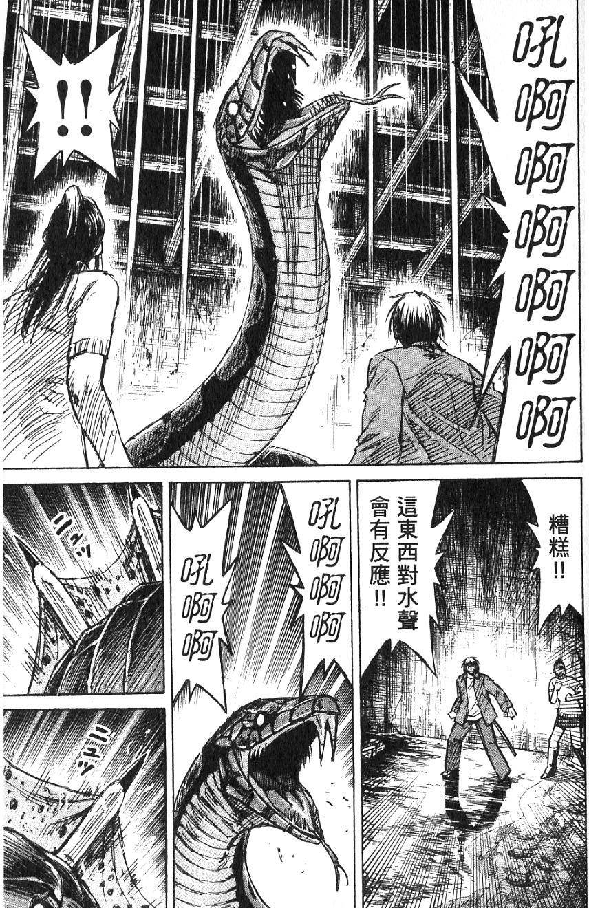 第113页