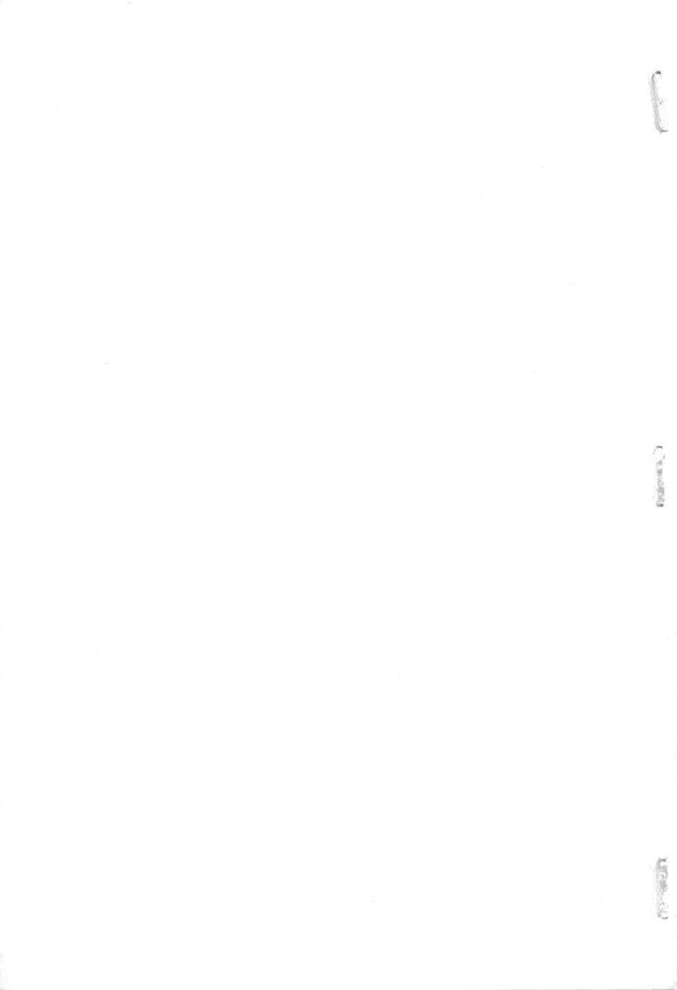 第206页