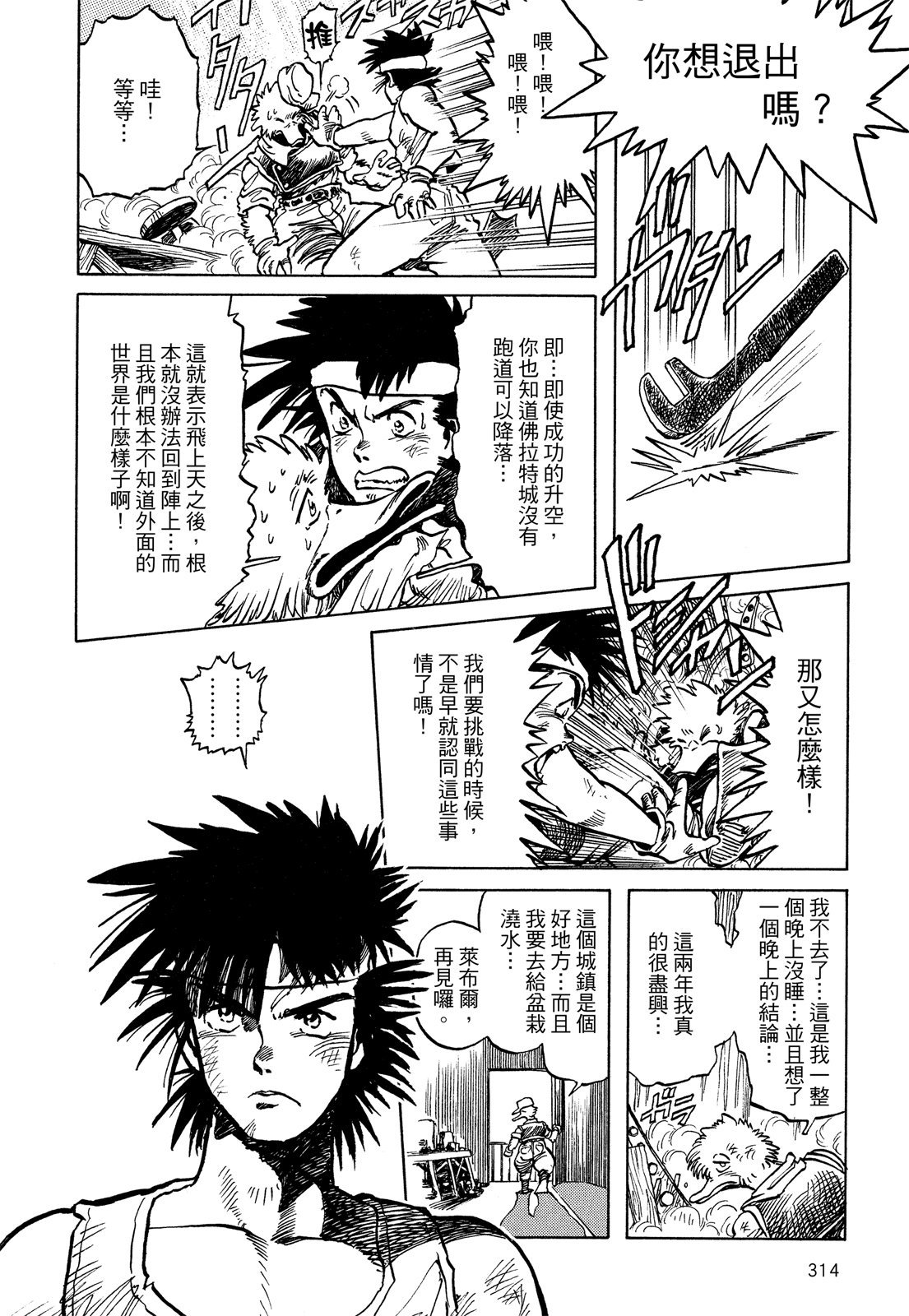 第313页