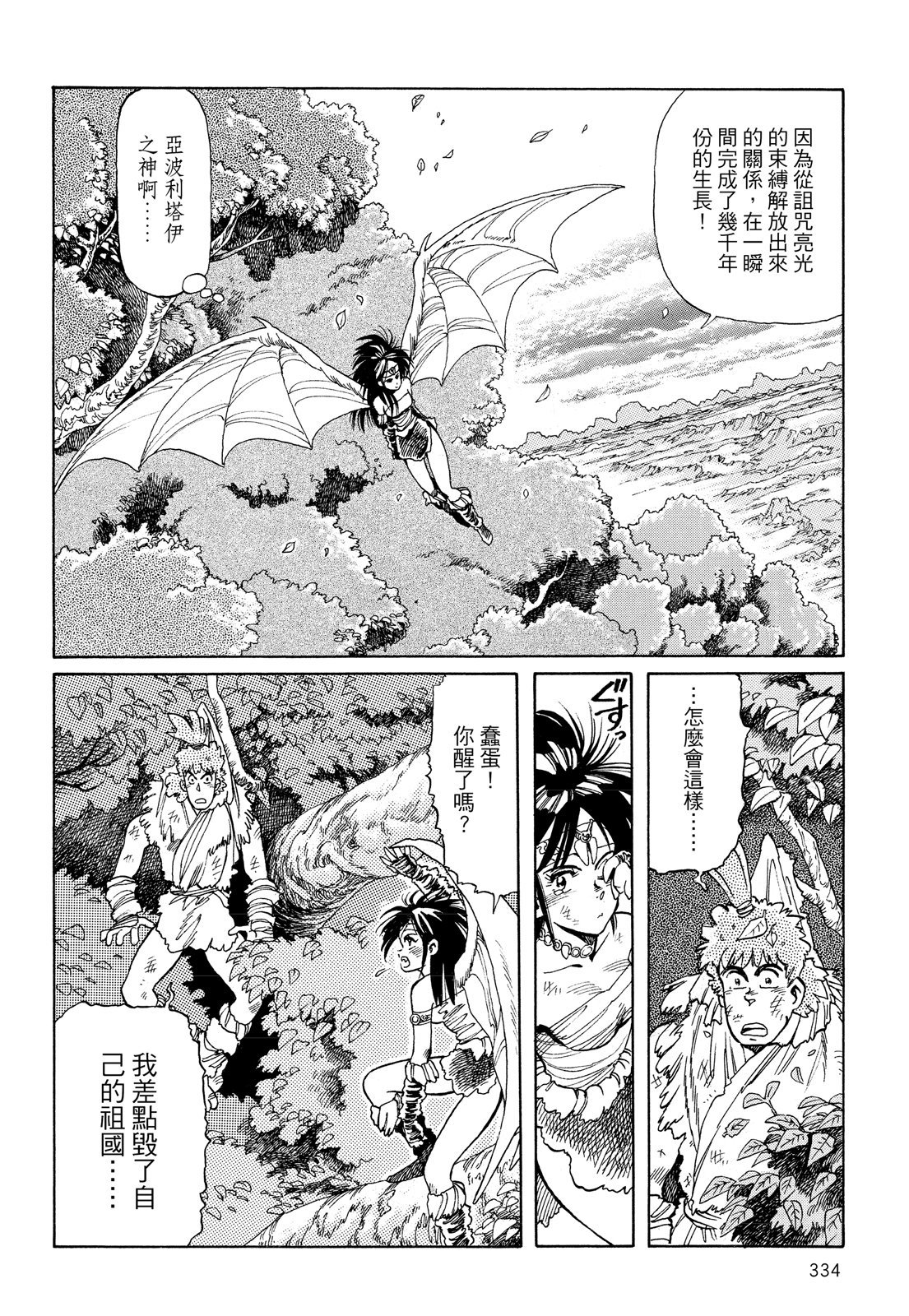 第333页