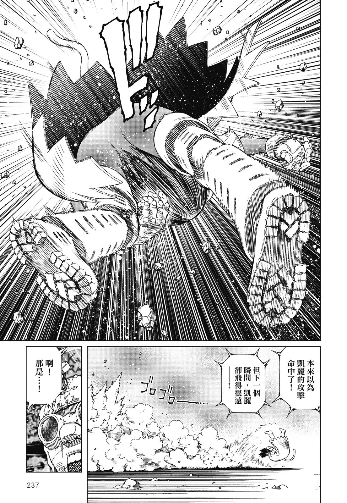 第236页