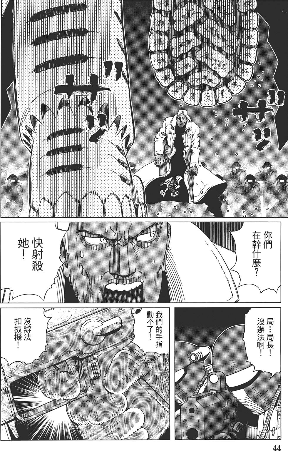 第43页