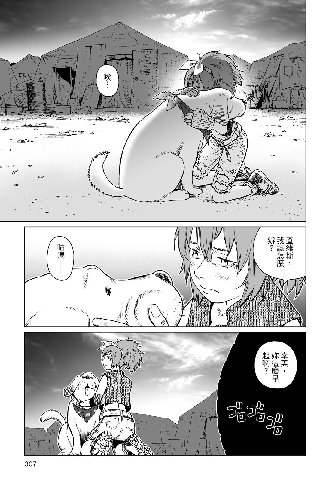 第306页