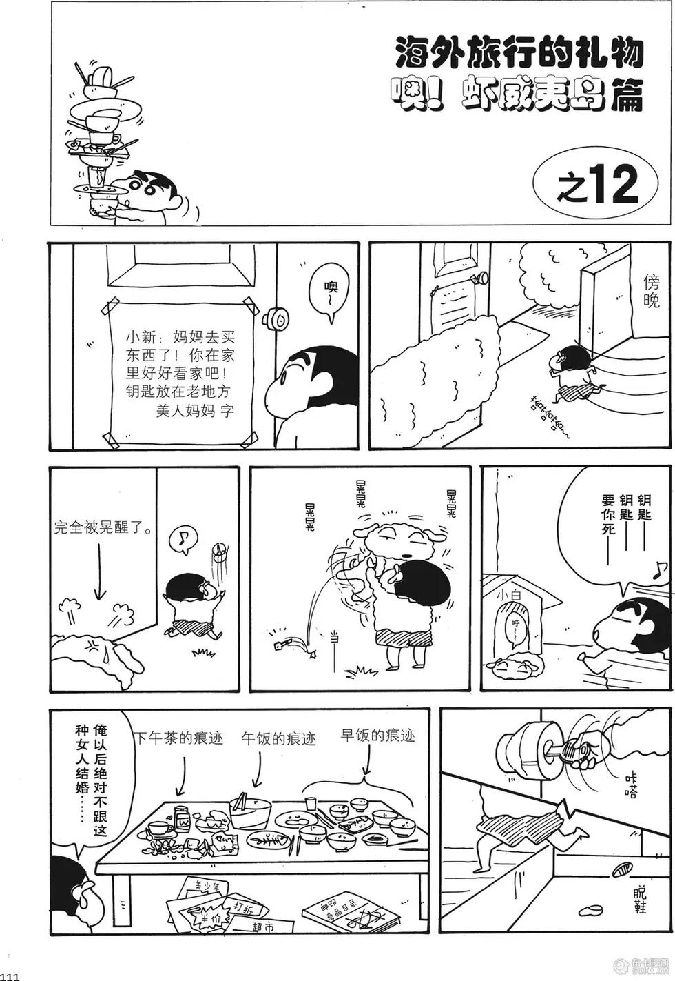 第111页