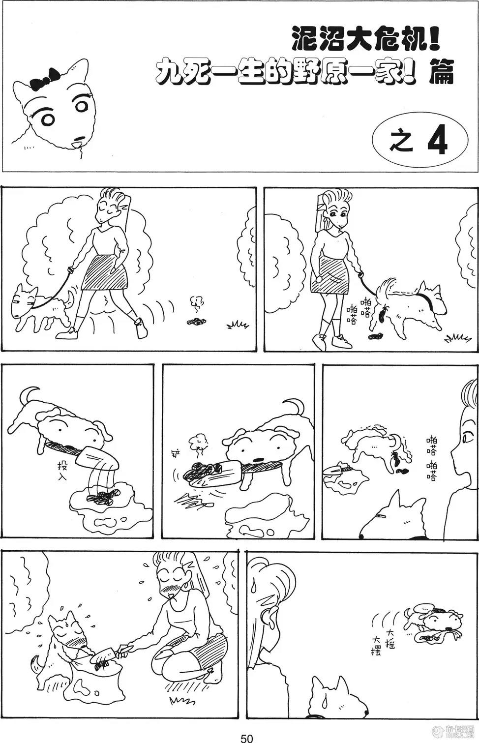 第51页