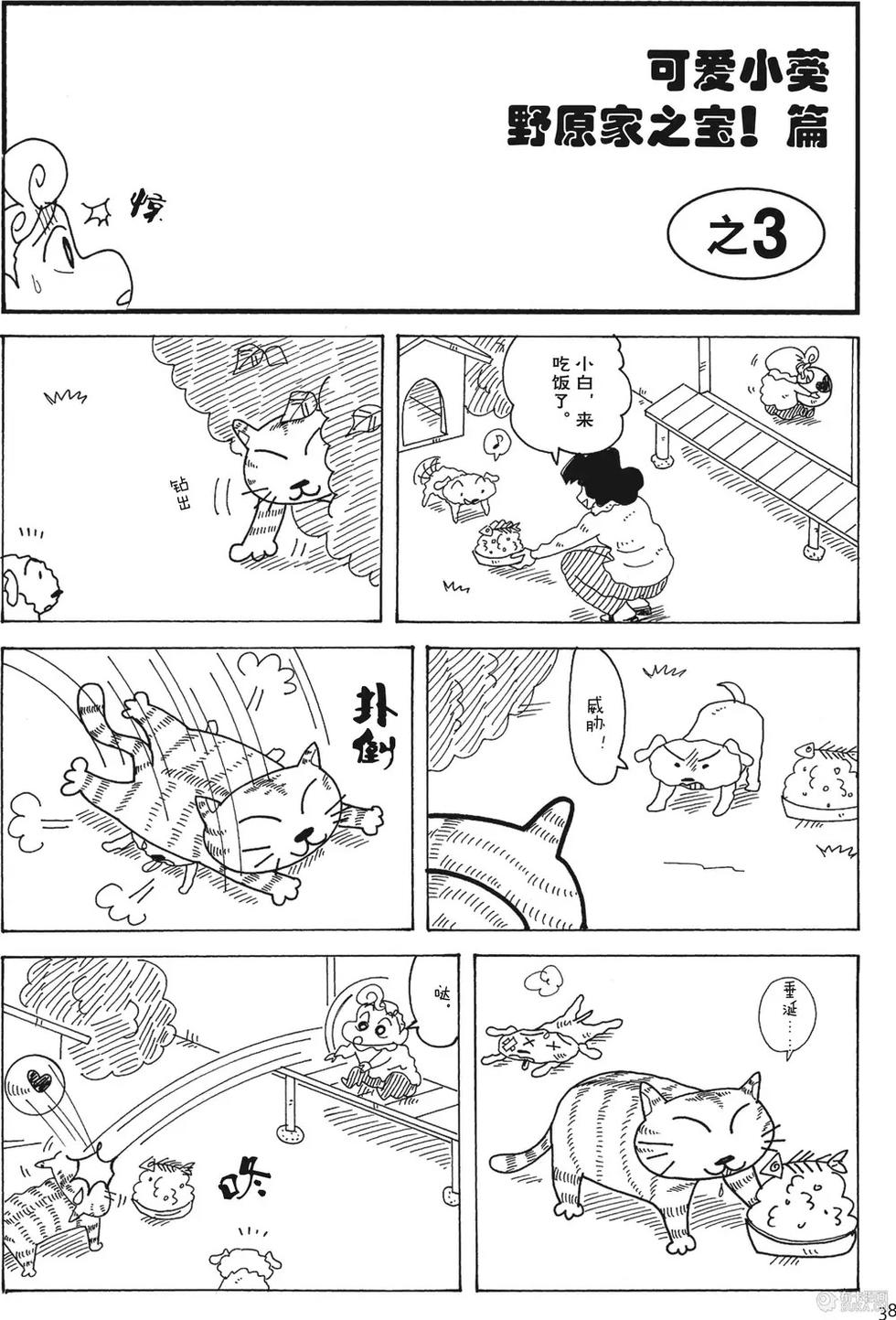 第38页